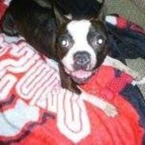 Meet your Posher, Thomas